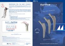 AMISTEM System leaflet