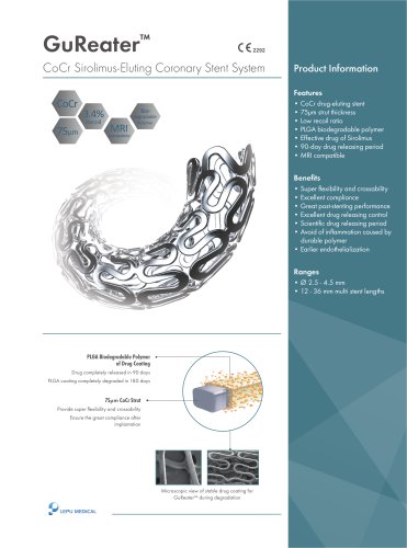 Coronary stent GuReater