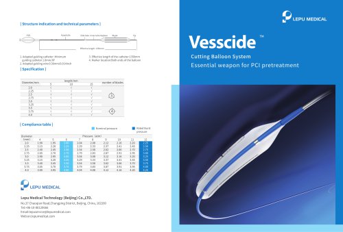 Vesscide™ Cutting Balloon System