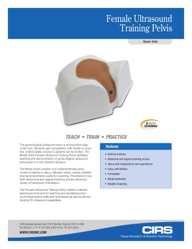 Female Ultrasound Training Pelvis