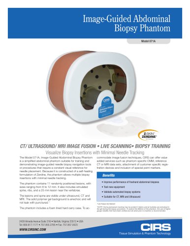 Image-Guided Abdominal Biopsy Phantom