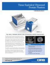 Tissue Equivalent Ultrasound Prostate Phantom