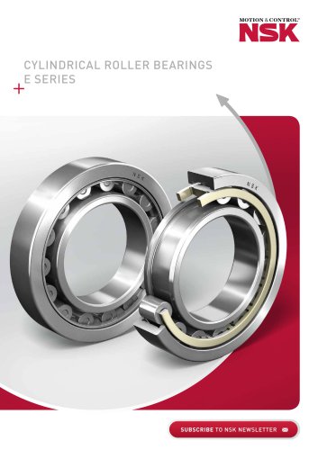 CYLINDRICAL ROLLER BEARINGS E SERIES